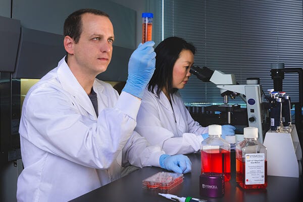 Image with missing alt attribute found on stemcell.com