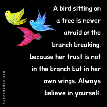 Image with missing alt attribute found on tinybuddha.com