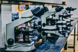 Metodolog&iacute;a de la investigaci&oacute;n