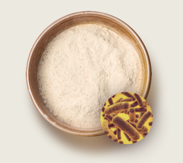 Image with missing alt attribute found on ultimatepetnutrition.com