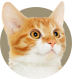Image with missing alt attribute found on ultimatepetnutrition.com