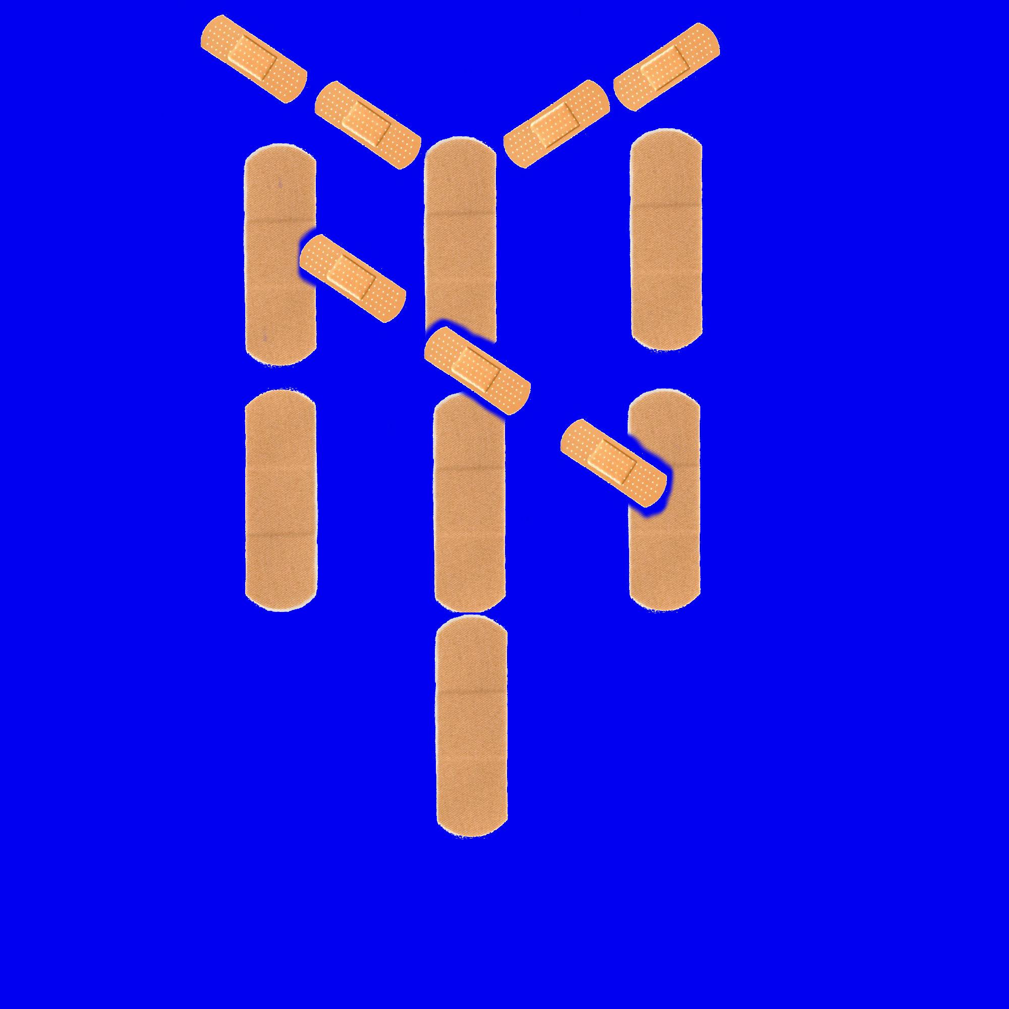 Image with missing alt attribute found on amazinavenue.com