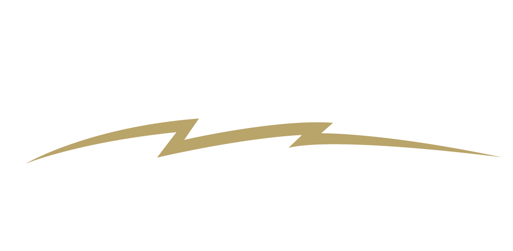 Image with missing alt attribute found on warpedspeed.com