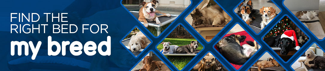 Find the right bed for my breed