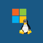 Image with missing alt attribute found on geckoandfly.com