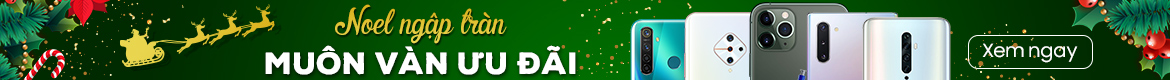 Noel Ngập Tr&agrave;n