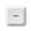 Image with missing alt attribute found on poz.com