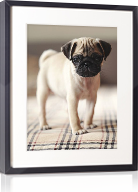 Image with missing alt attribute found on arttoframe.com
