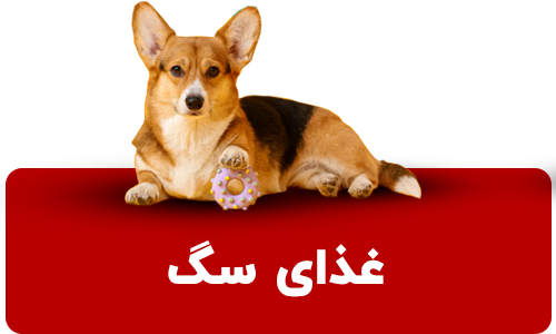 dog food