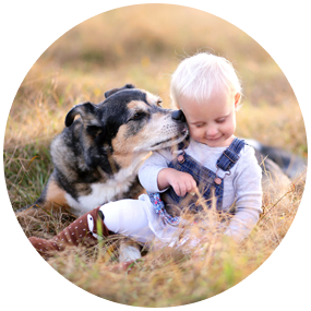 Image with missing alt attribute found on childrenshealthdefense.org