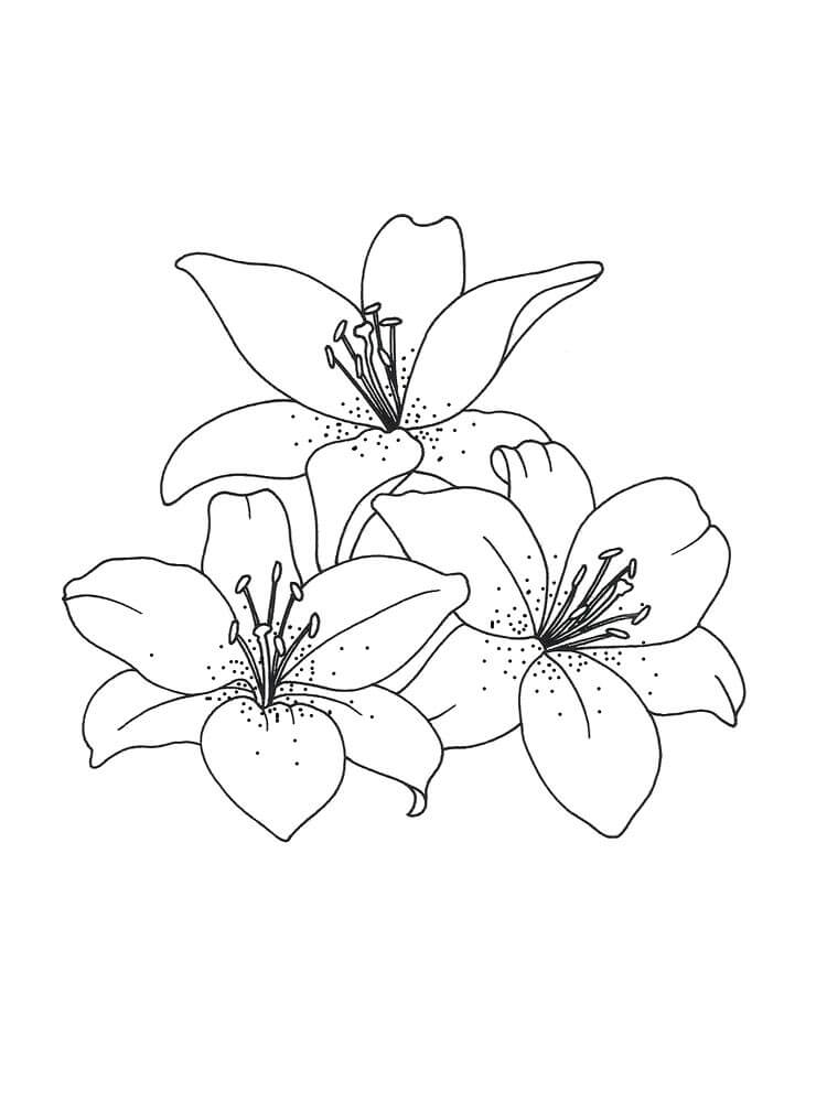 Coloriage Fleur