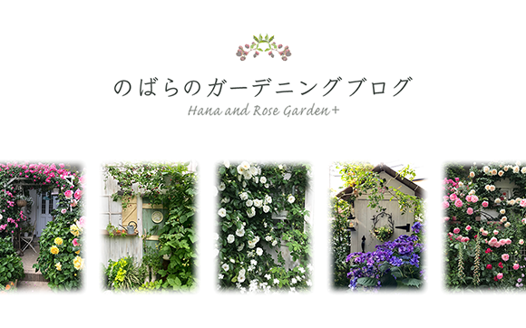 livedoor
