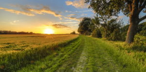 paisaje rural