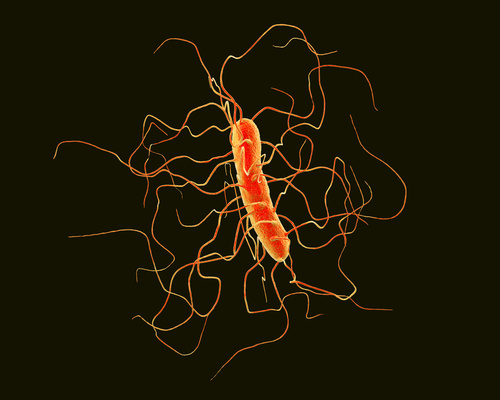 Can the CDC Achieve Its C Diff Goal?: Public Health Watch