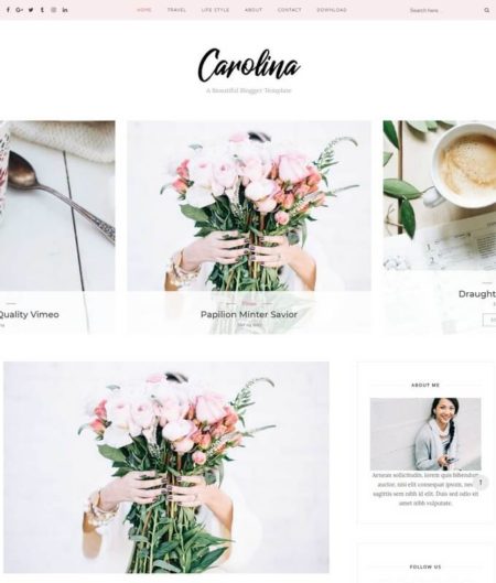 Carolina Blogger Template