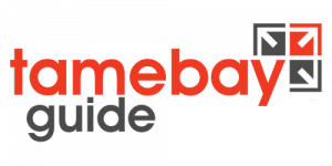 Crazylister featured on Tamebay as the best eBay templates solution