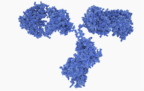 Image with missing alt attribute found on creative-diagnostics.com