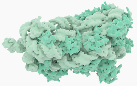 Image with missing alt attribute found on creative-diagnostics.com
