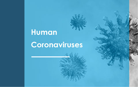 Image with missing alt attribute found on creative-diagnostics.com