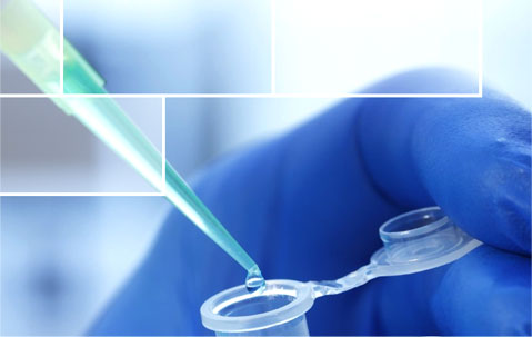 Image with missing alt attribute found on creative-diagnostics.com