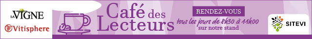Image with missing alt attribute found on vitisphere.com