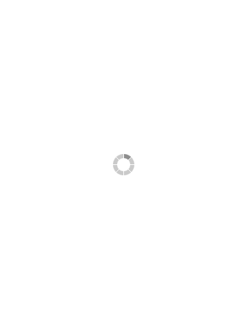 Image with missing alt attribute found on dresslily.com
