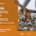 Image with missing alt attribute found on culturacientifica.com
