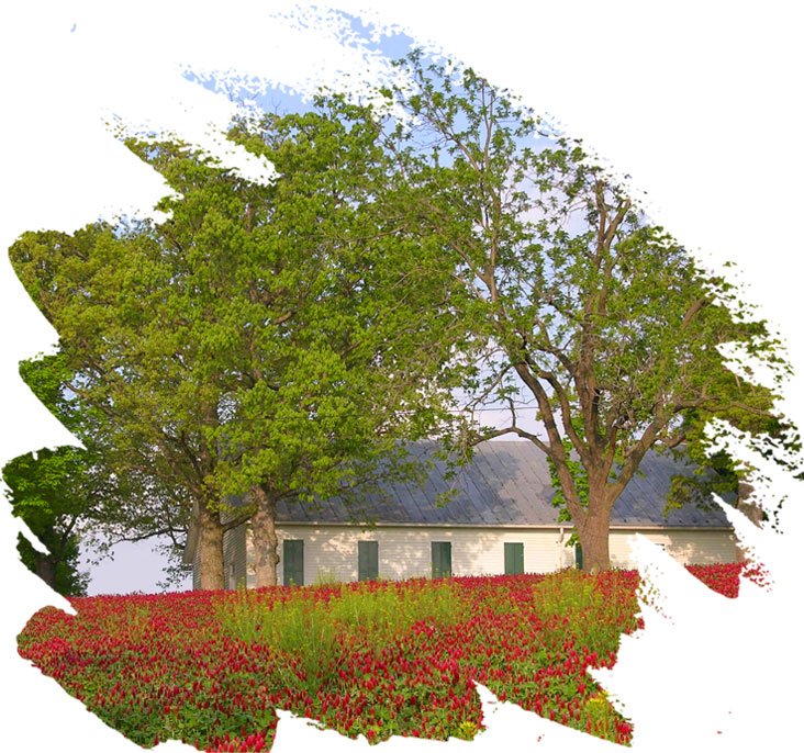 Image with missing alt attribute found on daytonva.us