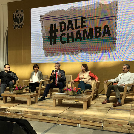 Dale Chamba