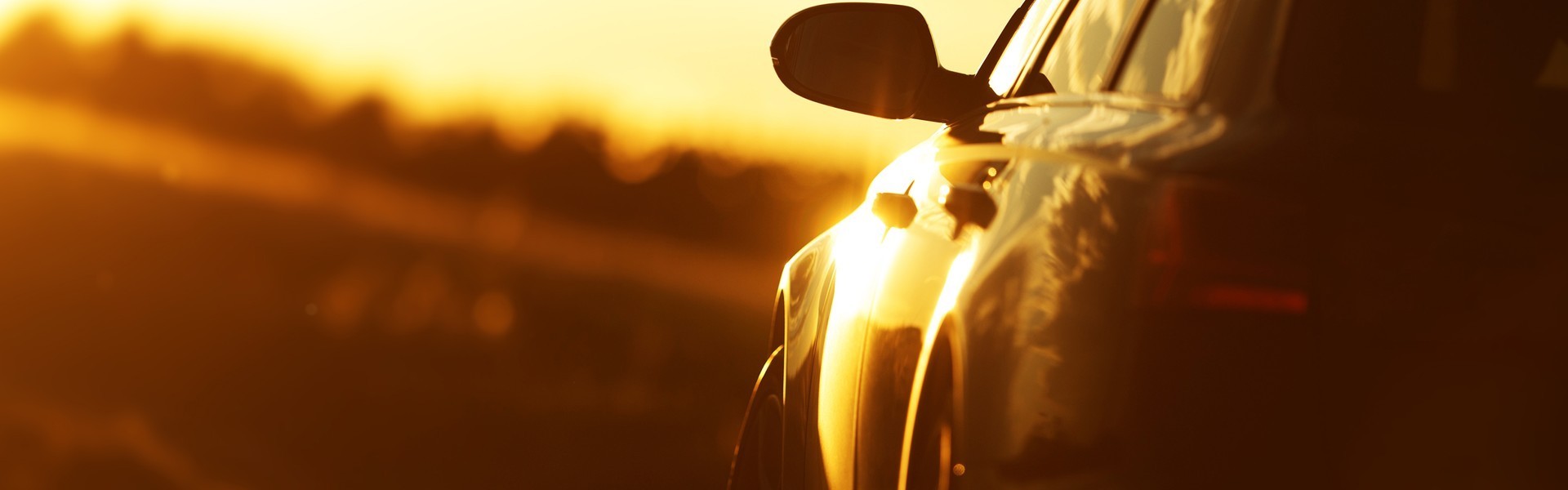 banner-image