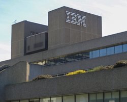 IBM 401k Plan Report