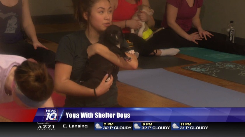 Image with missing alt attribute found on wilx.com