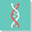 Image with missing alt attribute found on lalpathlabs.com