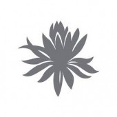 Image with missing alt attribute found on priceless.com