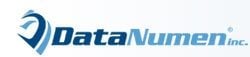 DataNumen logo