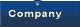 Image with missing alt attribute found on datanumen.com