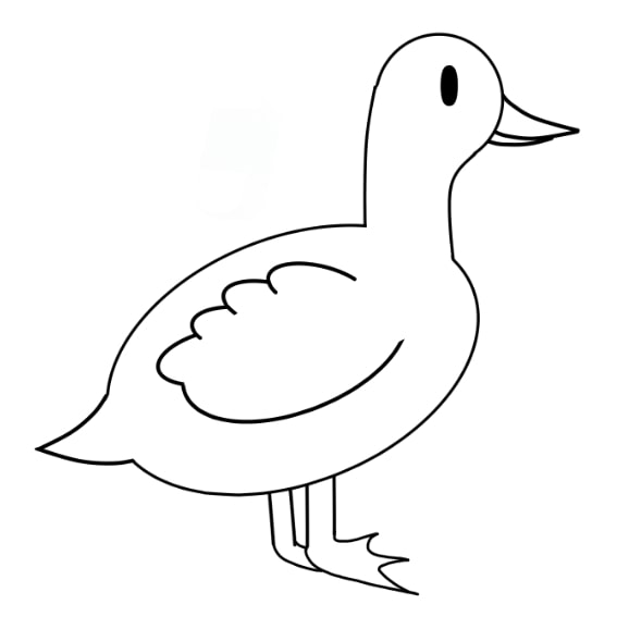 C&aacute;ch vẽ con vịt