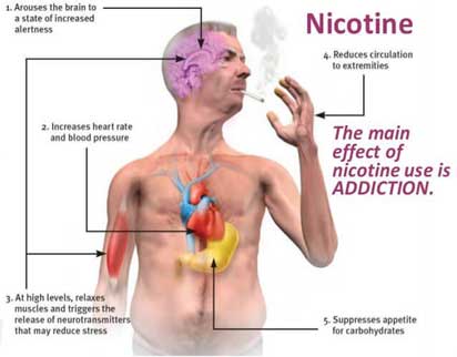 Image with missing alt attribute found on deaddictioncentrehimachal.com