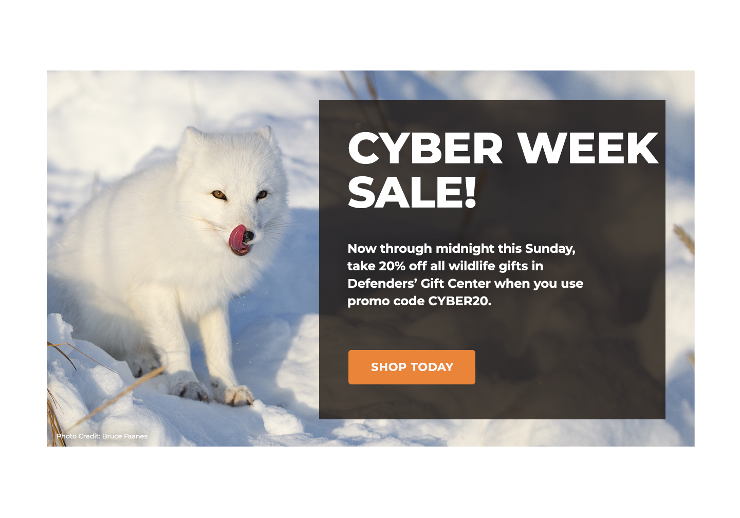 Cyber Week Sale