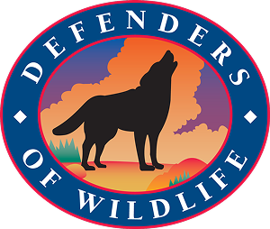 site logo