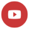 RRSS Newsletter Youtube