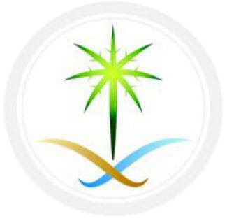 Image with missing alt attribute found on arabiaweather.com