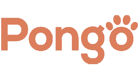 Pongo Web and Mobile app Designa nd Developed by Digittrix