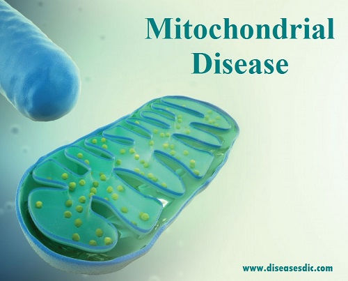 Image with missing alt attribute found on diseasesdic.com