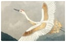 Image with missing alt attribute found on displate.com