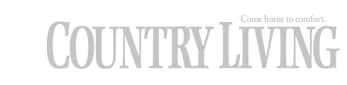Image with missing alt attribute found on divascancook.com