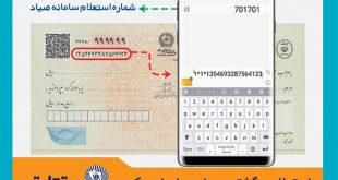 Image with missing alt attribute found on topnaz.com