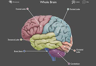 Image with missing alt attribute found on dnalc.org