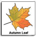 Image with missing alt attribute found on do2learn.com