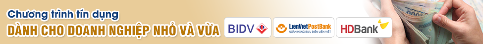 Image with missing alt attribute found on doanhnghiepvn.vn
